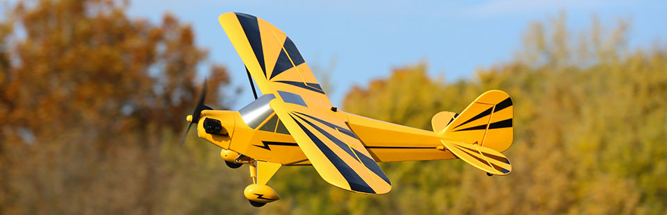 Clipped Wing Cub