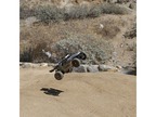 ECX Roost Desert Buggy 4WD 1:18 żółty