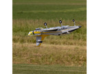 E-flite Viper 1.07m 64mm EDF AS3X SAFE Select BNF Basic